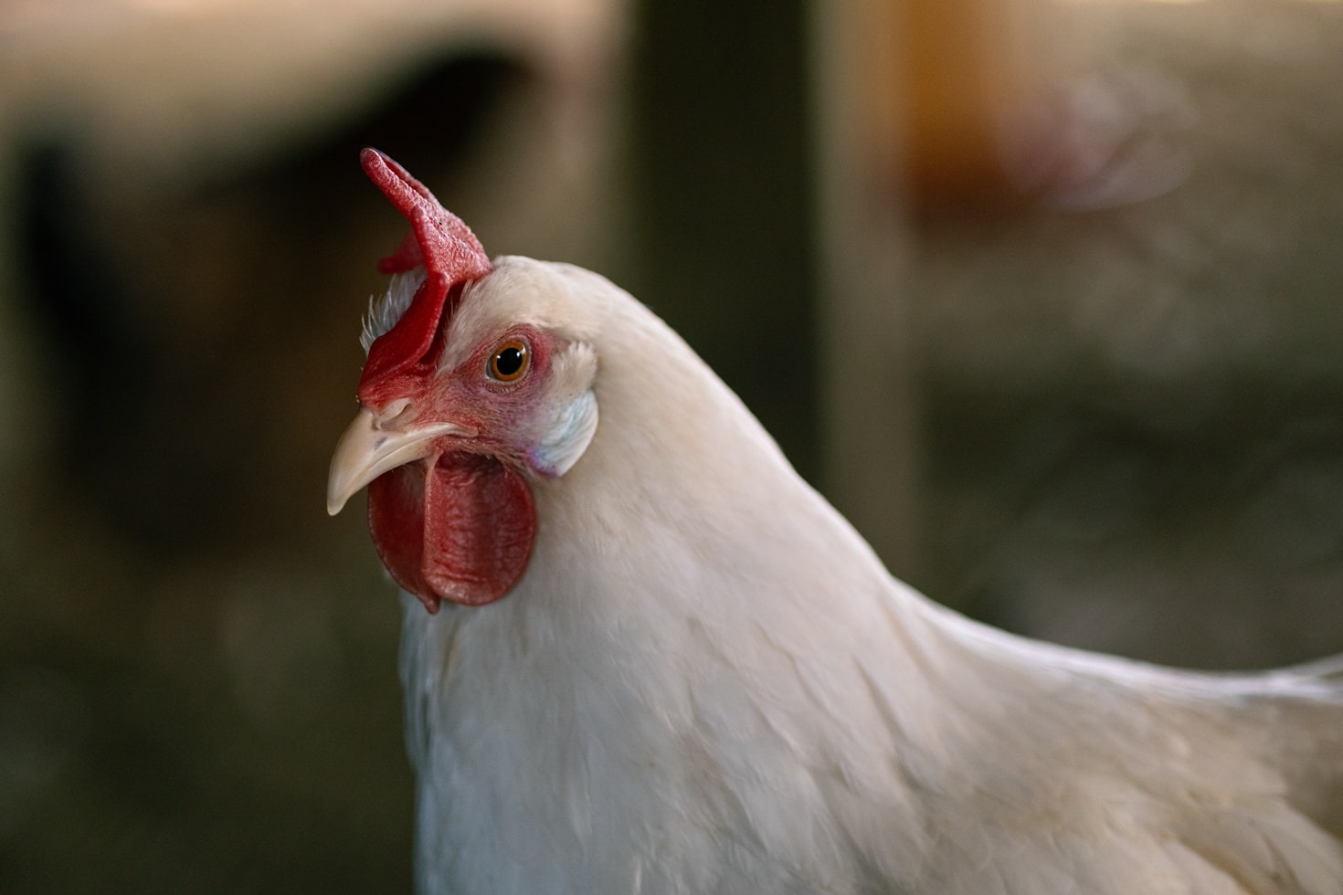 Sustainable Farming And Your Daily Nutrition